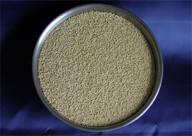 Myco Supply
