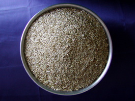 Myco Supply