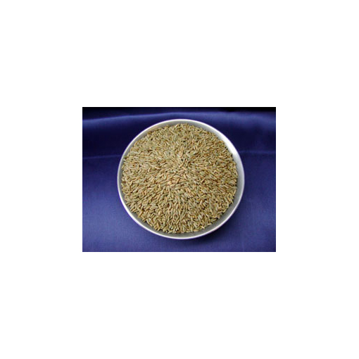 Myco Supply