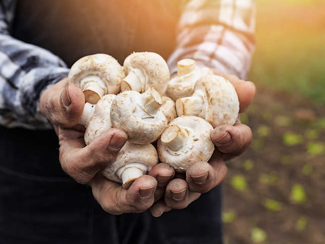 mushrooms prevent cancer