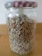 rye grain, growing spawn, spawn in jars