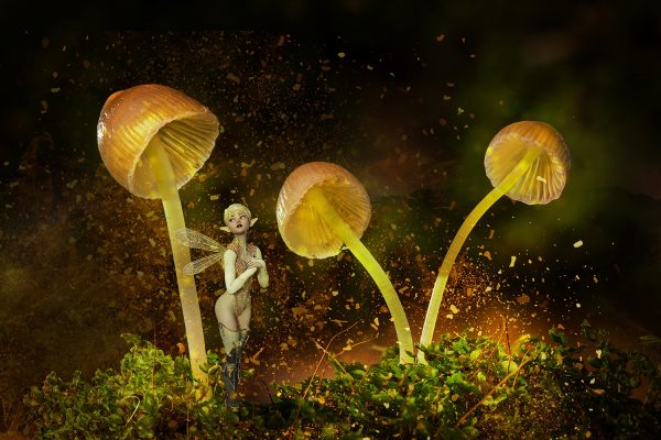 Fairies, Fungus, Mushrooms, Folklore